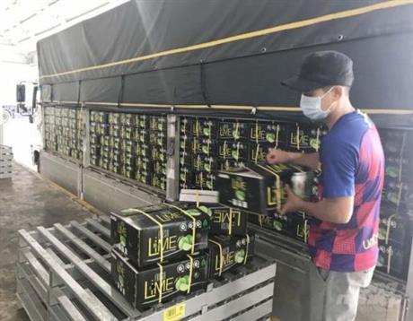 Techmart Nông nghiệp & Công nghệ sau thu hoạch:Nông sản tươi lâu nhờ công nghệ bảo quản CASS